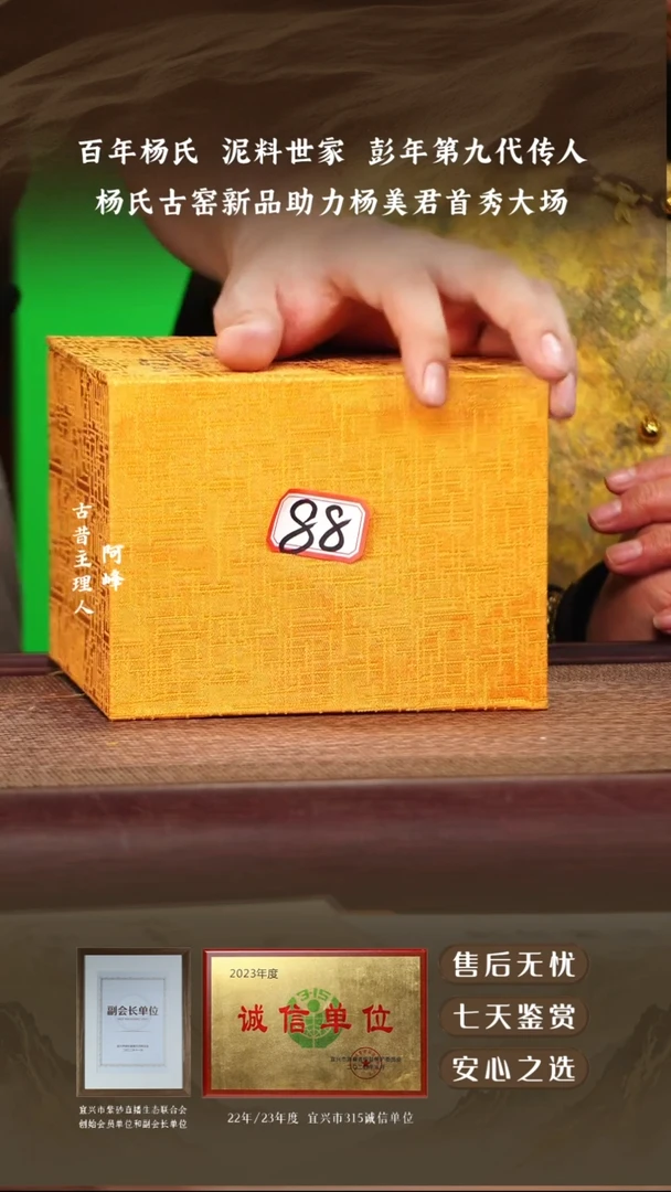 宜兴紫砂壶0000088