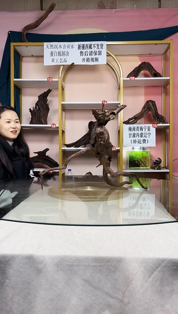 含****的紫柚木一物一拍A684