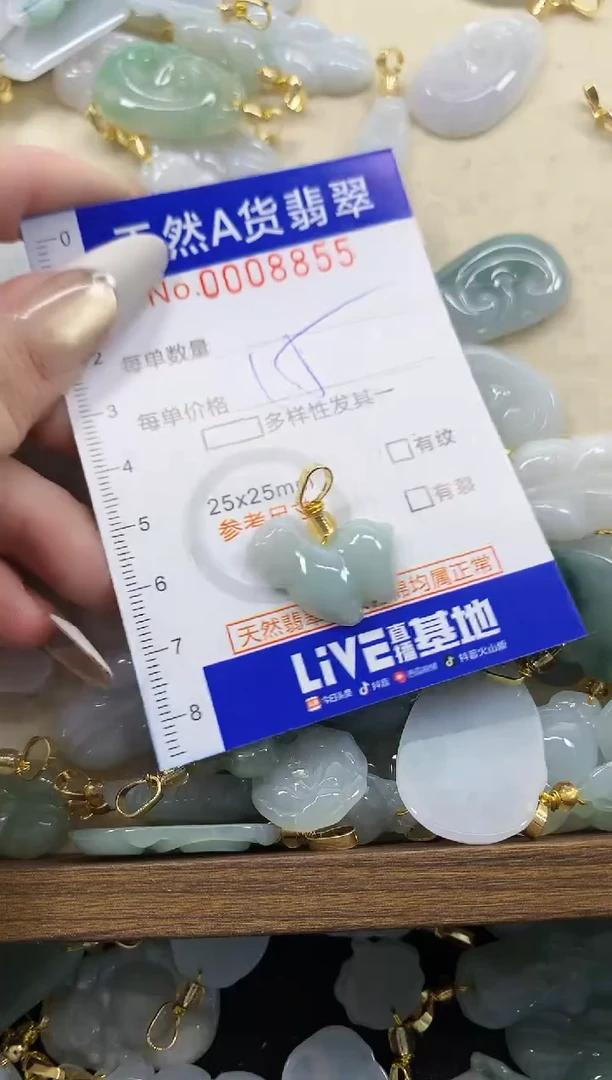 颈饰未镶嵌翡翠天然A货翡翠