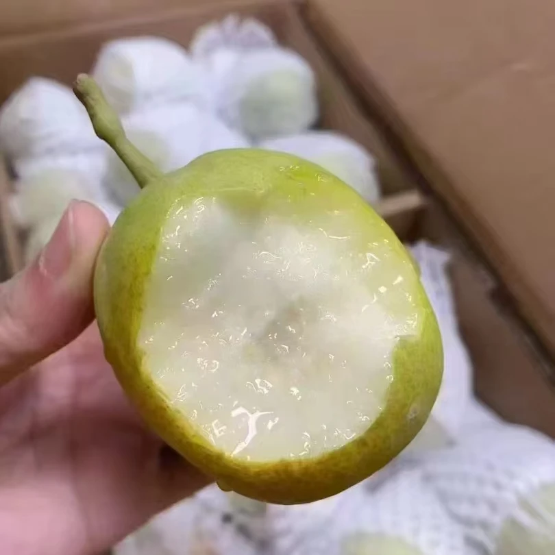 【整箱】天新牌库尔勒香梨新疆库尔勒香梨约6斤