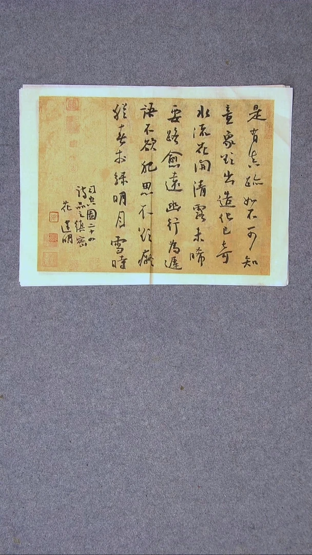 书法花建明   河北 46*34尺寸