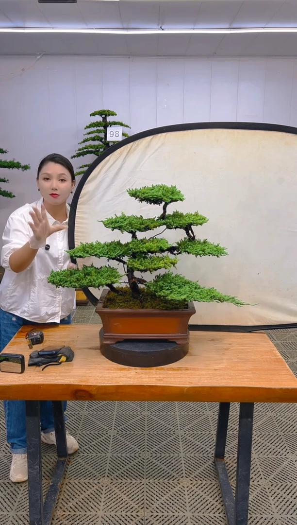 无花朵一物一拍一物一拍