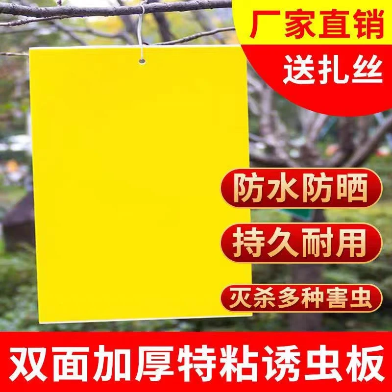 黄板双面粘虫板诱虫蓝板飞虫小黑飞粘板针蜂菜园果园庭院大棚专用