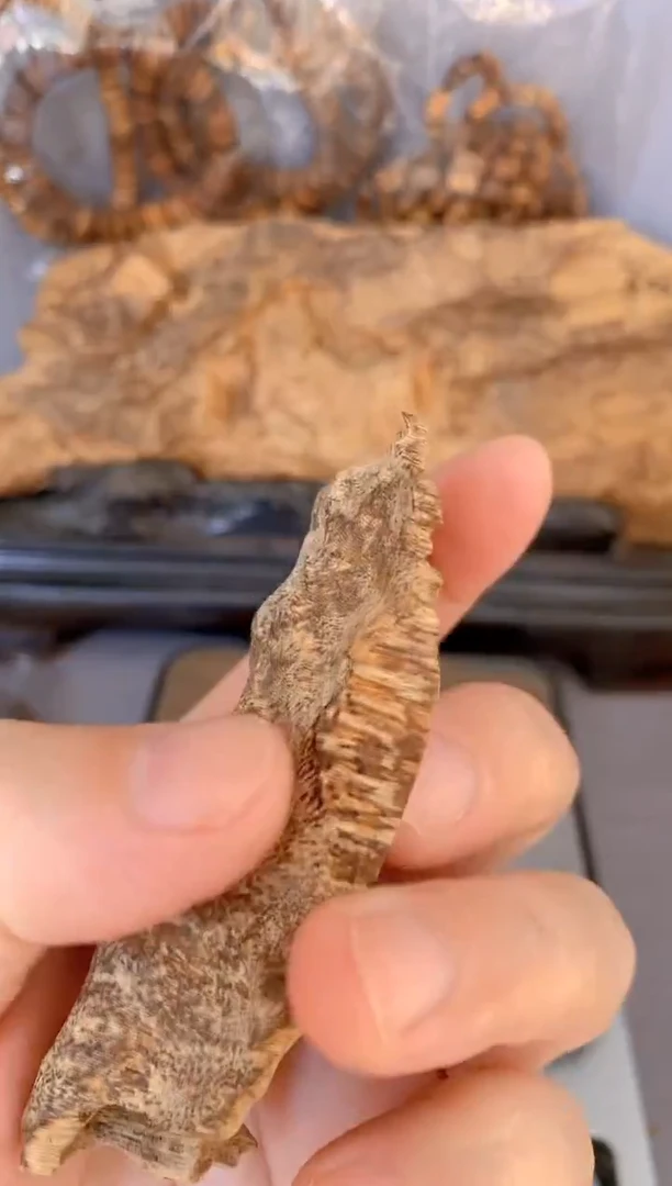 沉香沉香碎屑海南壳子老料9.1克