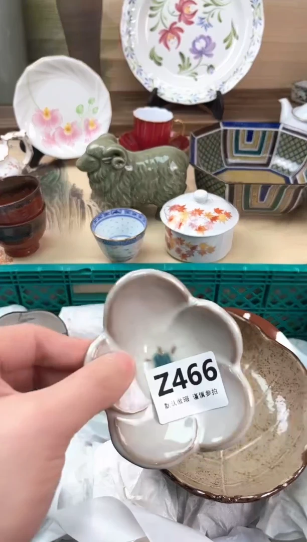 瓷片林*466