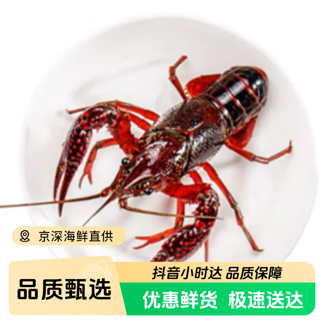 清水小龙虾0.9-1两/只一斤约10-12只（买5斤送调料）多规格可选