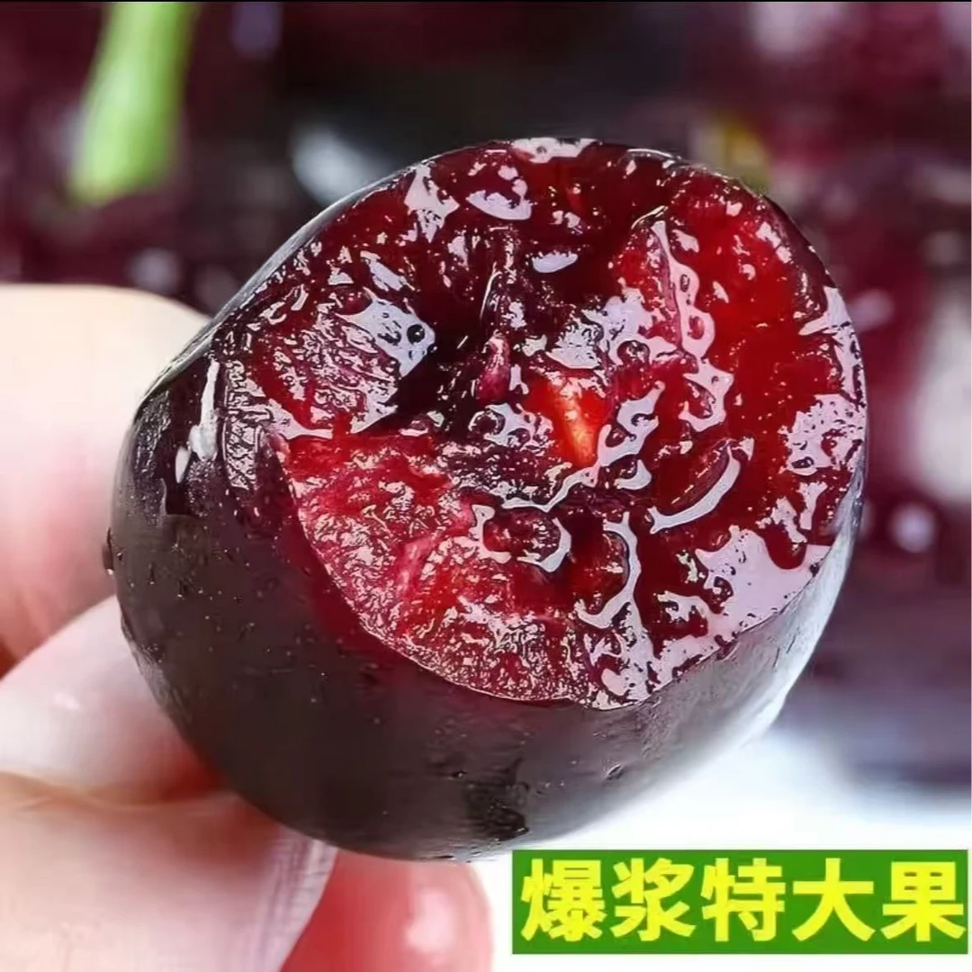 原箱【空运现货】智利进口车厘子3J内附果径卡 顺丰冷链包邮  X