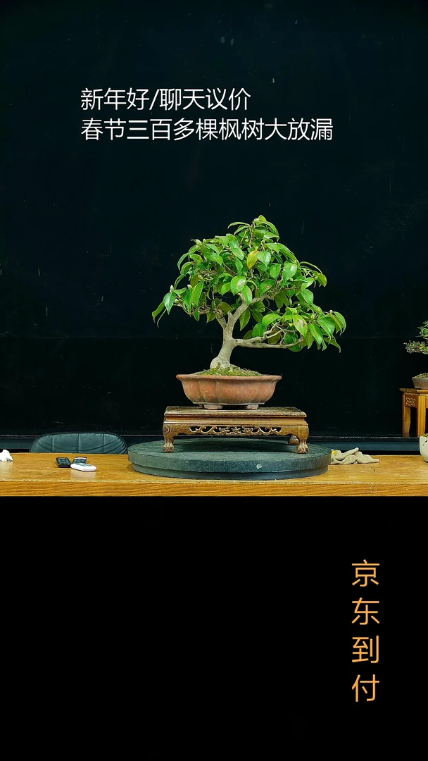 【闪购商品】0000000