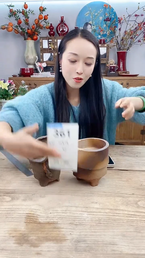 【闪购商品】红陶361