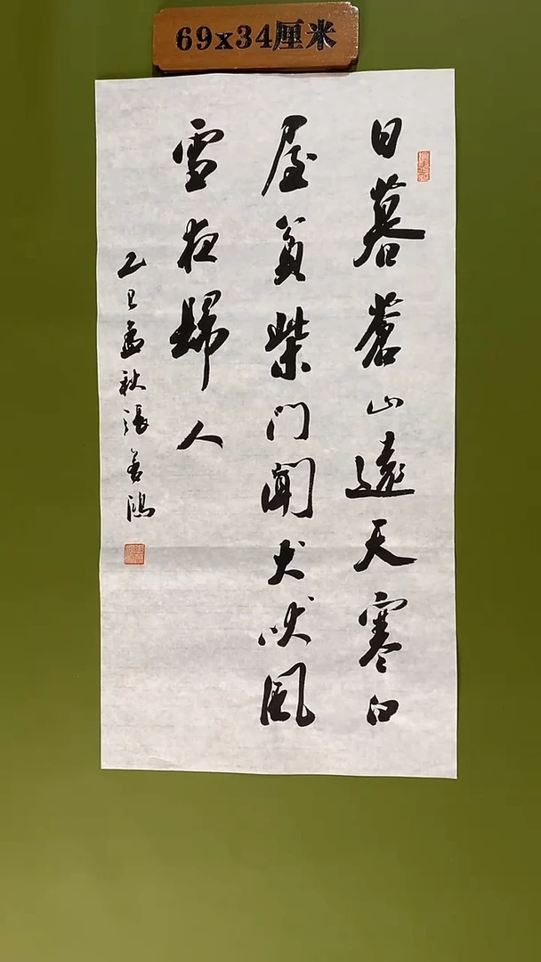 书法书法 张若鸿 尺寸69cm*34cm