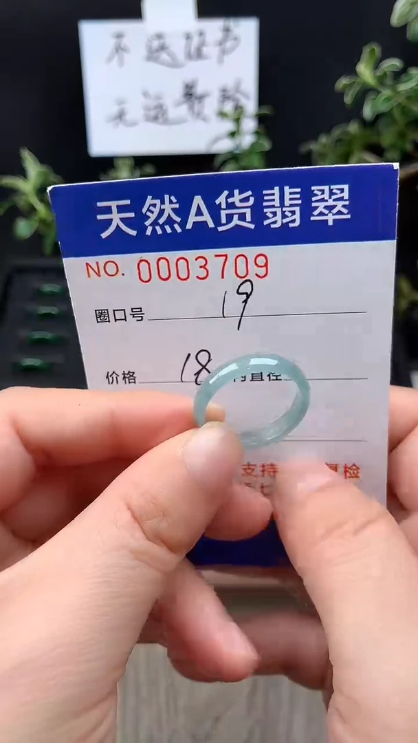 未镶嵌戒指翡翠19#