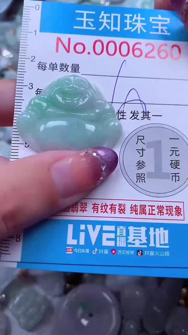 翡翠未镶嵌吊坠(不含链)6260