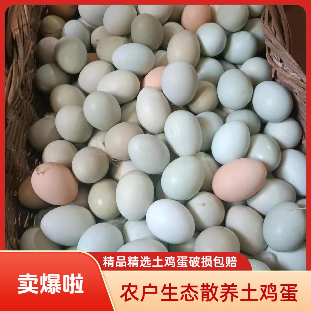 湖北农户山林生态天然散养新鲜土鸡蛋跑山溜达鸡月子蛋现捡现发