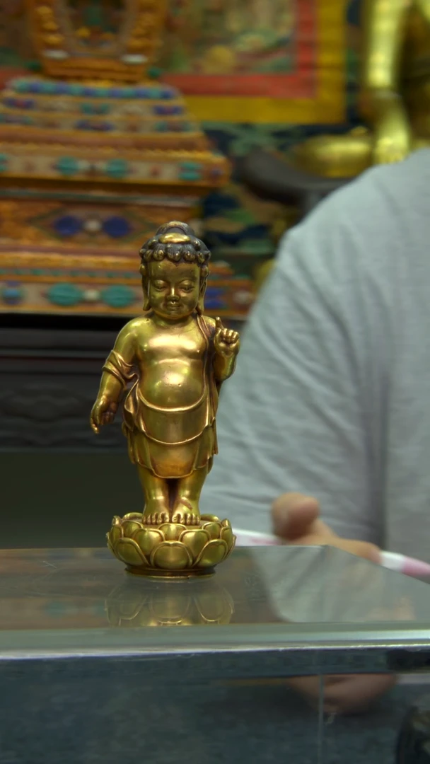 【闪购商品】11111111111111111