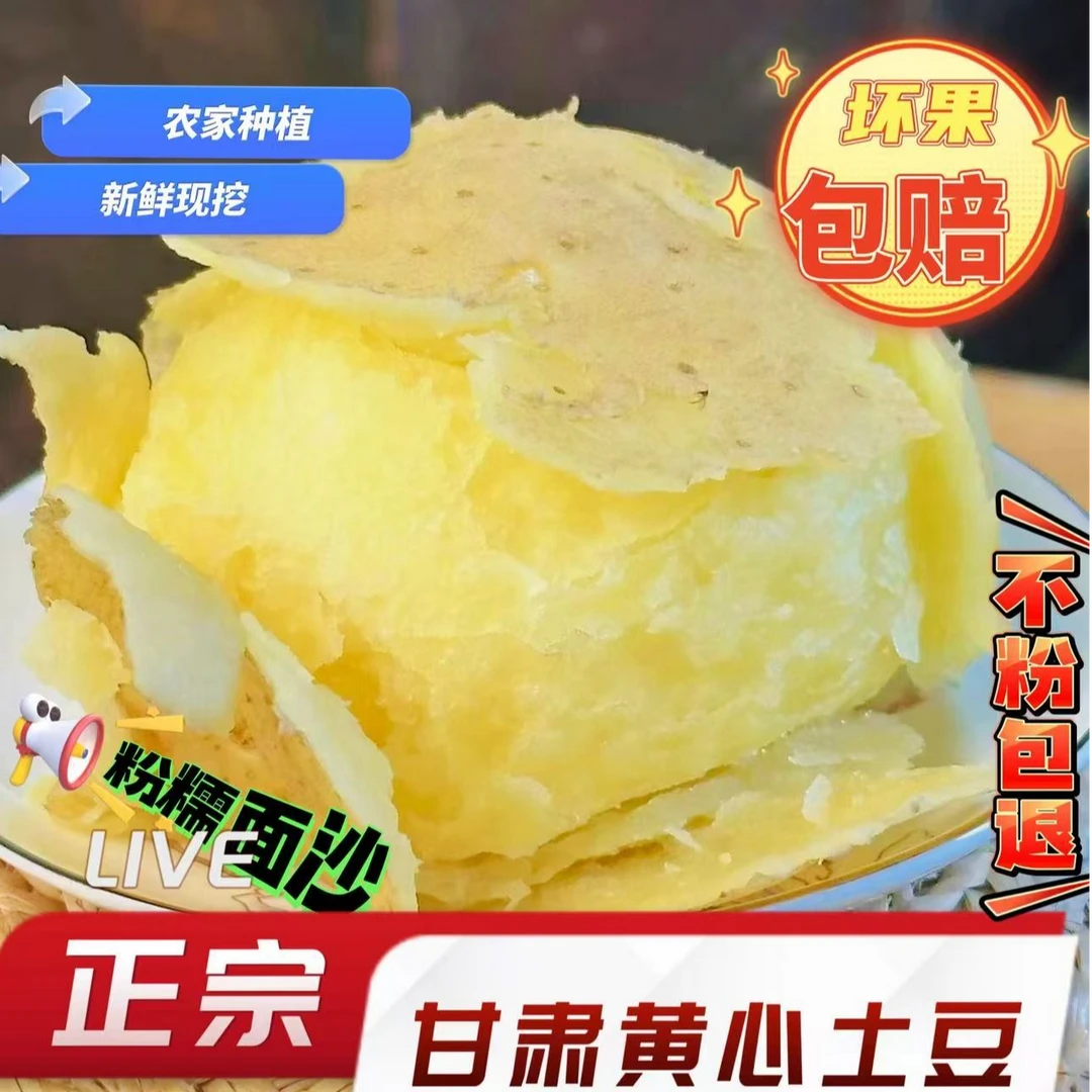 定西黄心土豆新鲜粉糯面沙营养美味食用饱满