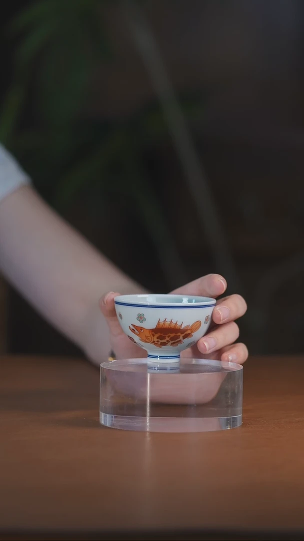 繁红鱼藻鸡心杯