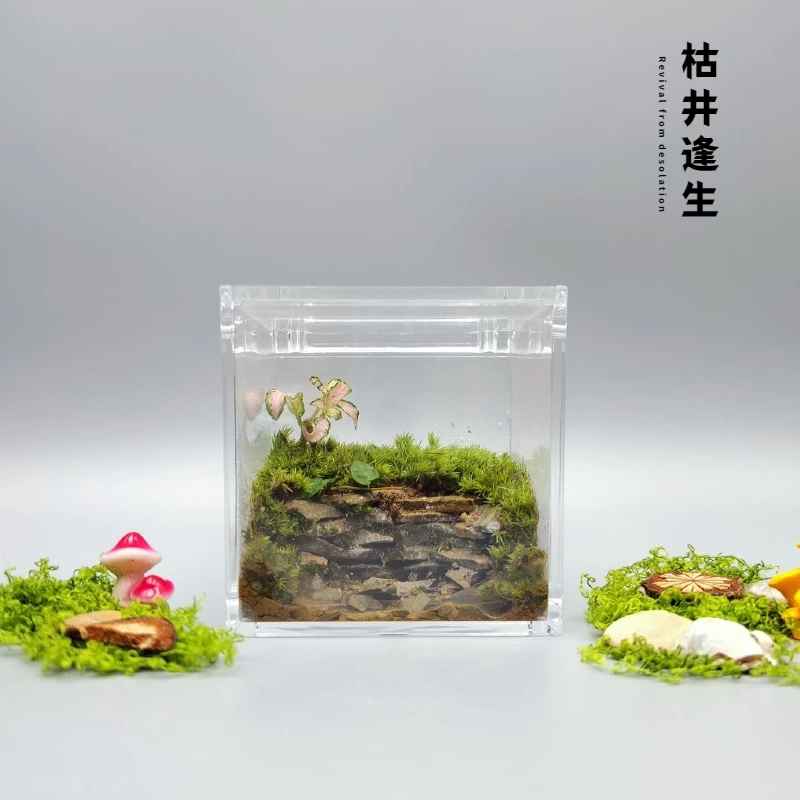 枯井逢生苔藓造景风化石桌面摆件生态微景观好养懒人绿植创意礼物
