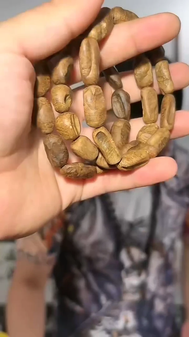 沉香手串51号沉水海南瘤疤13g多样性发一