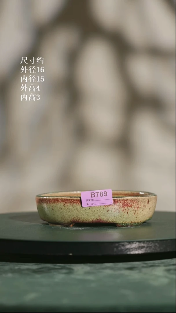 6寸椭圆盆   789