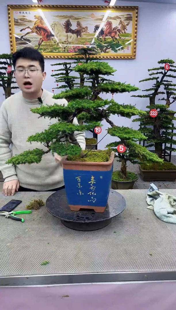 【闪购商品】一物一拍，所见即所得一物一拍，所见即所得