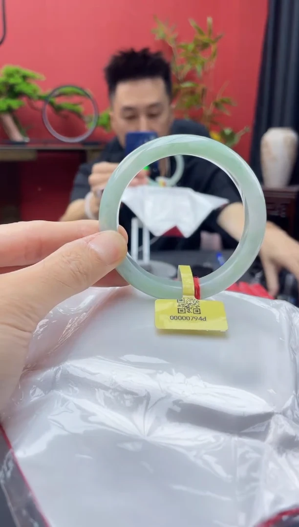 未镶嵌手镯翡翠3