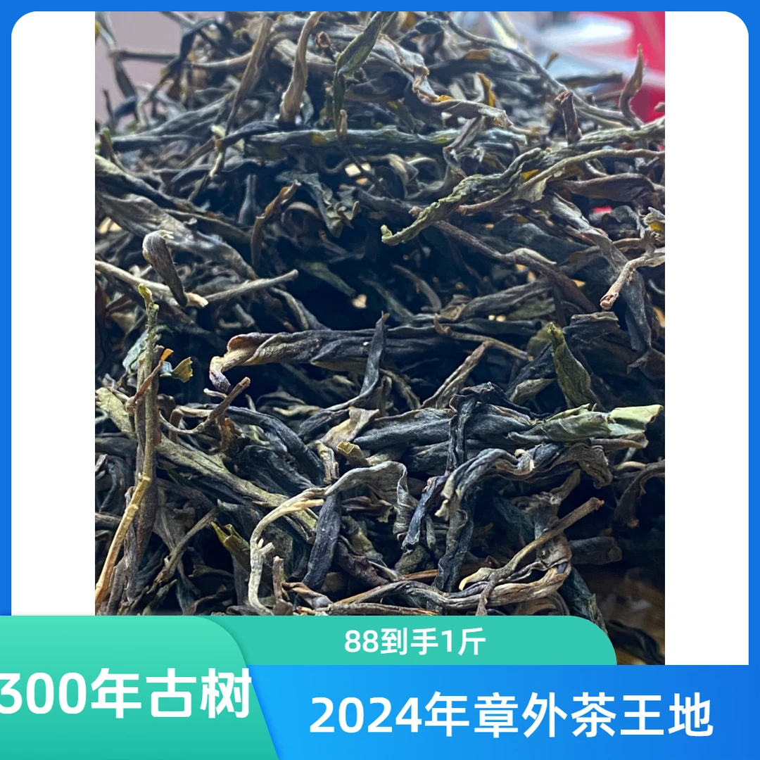 2024年 章外古树散茶 云南普洱茶普洱生茶散茶500g/袋