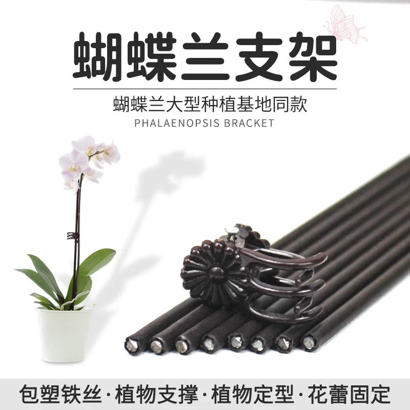 懒蝶--营养杯-托盘-支撑杆-灰色夹子