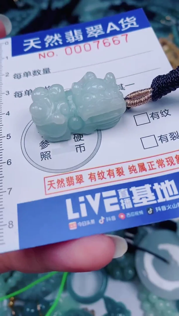 颈饰未镶嵌翡翠00007667