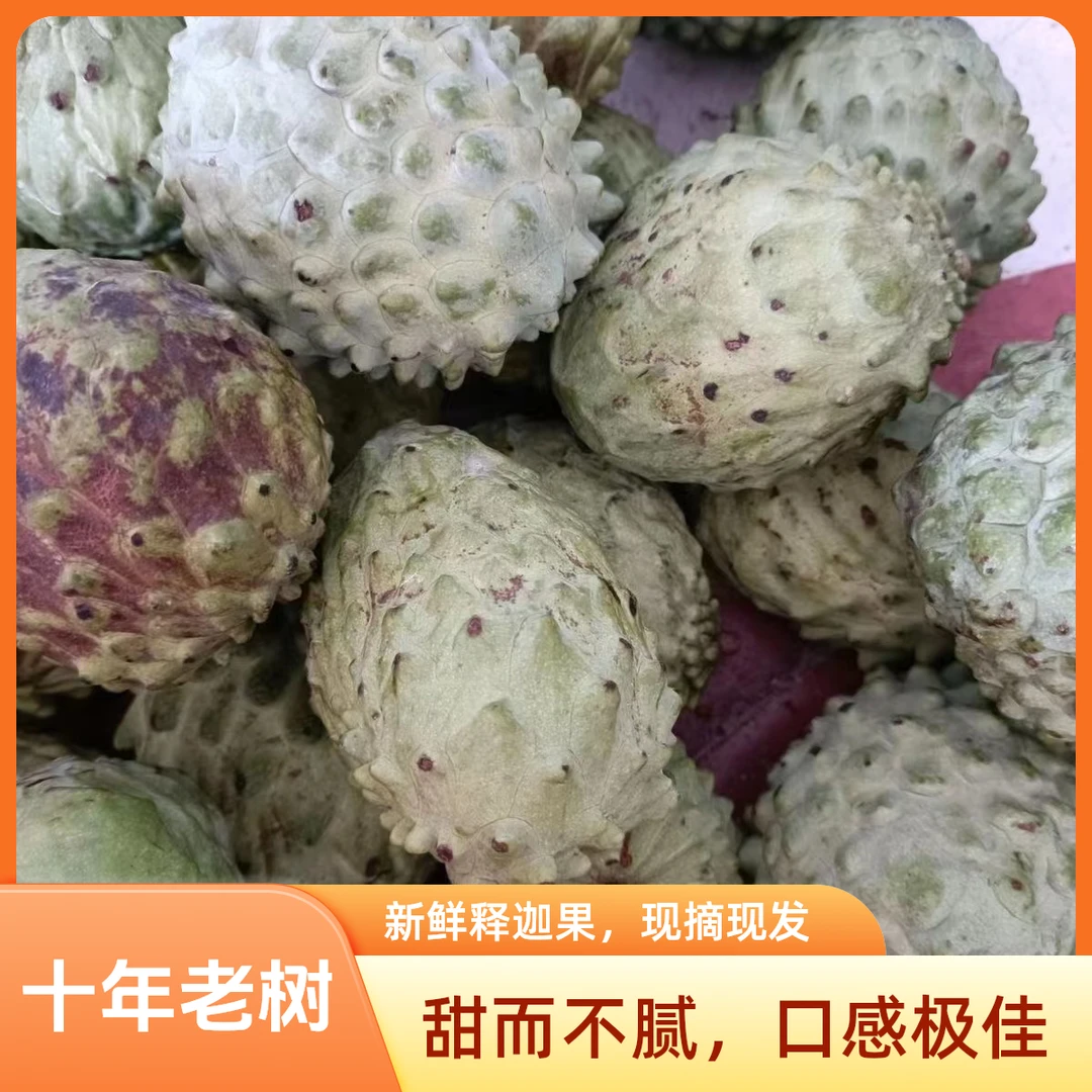 广西释迦果大凤梨番荔枝当季新鲜水果大果佛头林檎果摩尼果包邮