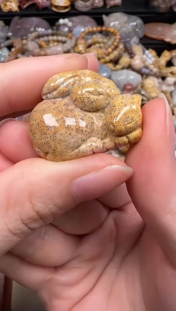 硅化珊瑚（珊瑚玉）未镶嵌颈饰031