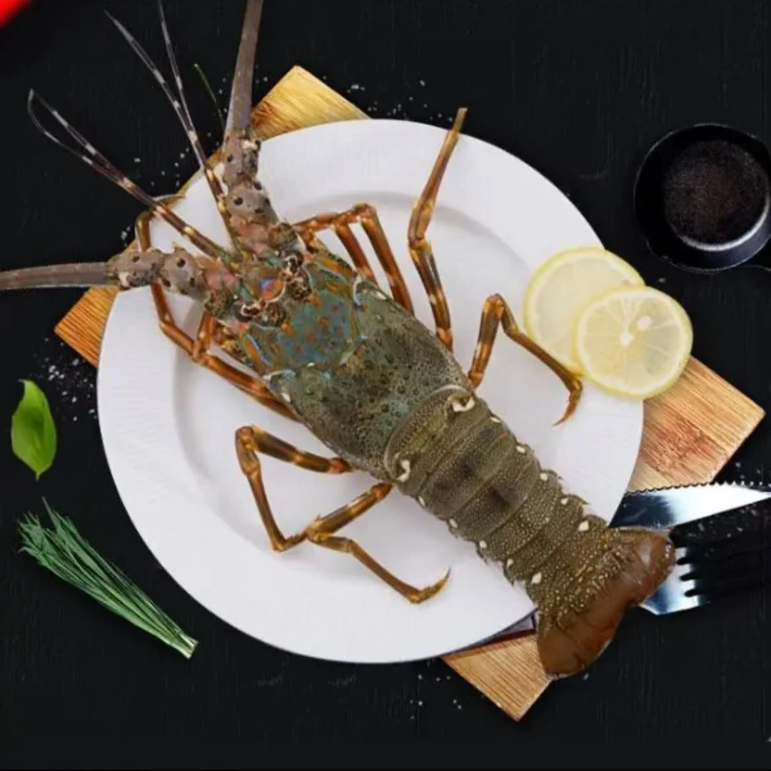 青龙鲜活龙虾新鲜肉质饱满100g左右/只