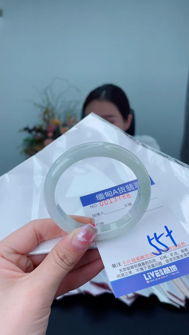 未镶嵌手镯翡翠2