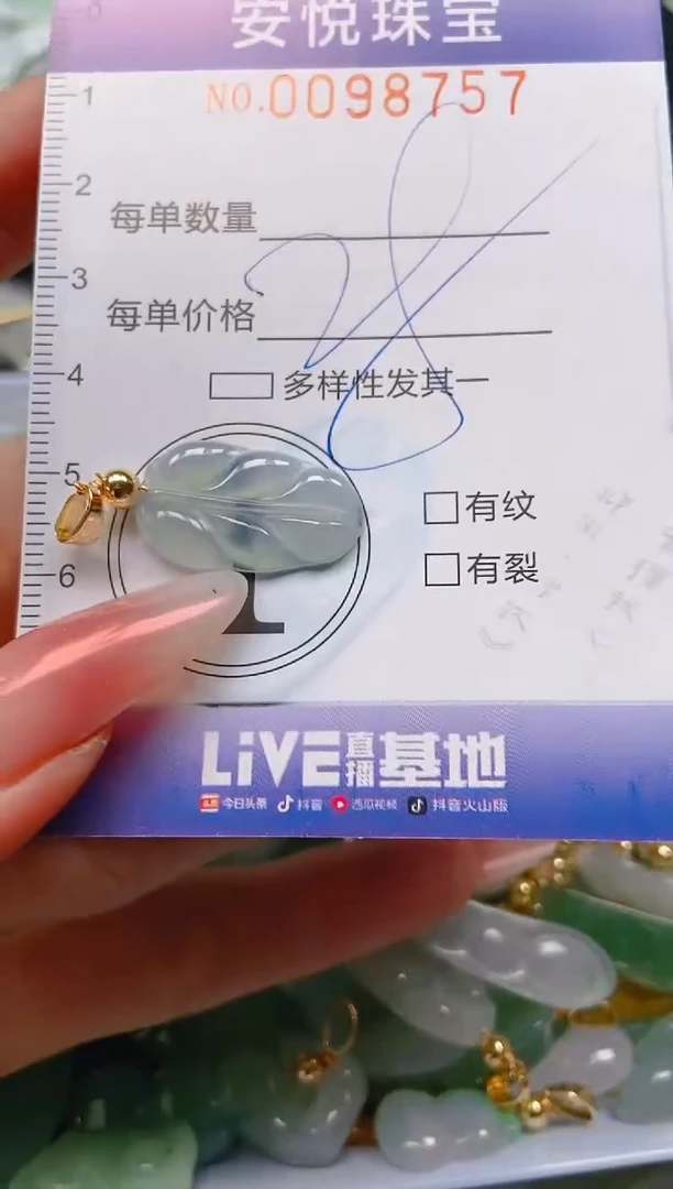 【闪购商品】翡翠颈饰未镶嵌闪购0098757