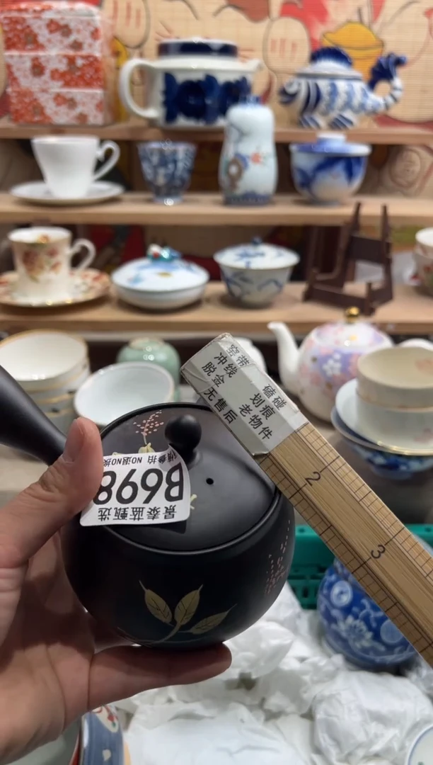 瓷片          B698