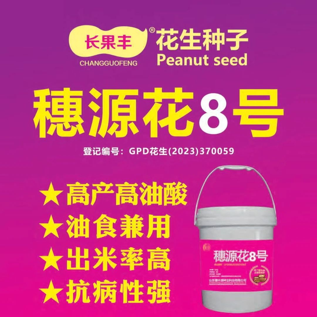 穗源花8号【静】12斤不需要二次拌种矮秆早熟花生种子产高油抗病抗