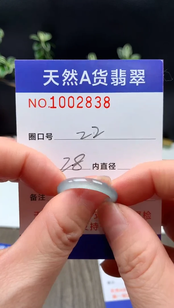 未镶嵌戒指翡翠22#
