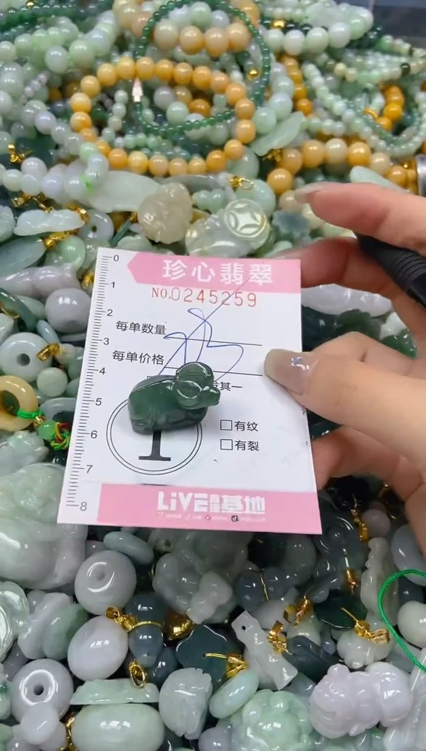 翡翠未镶嵌颈饰闪购0245259多样性发其一