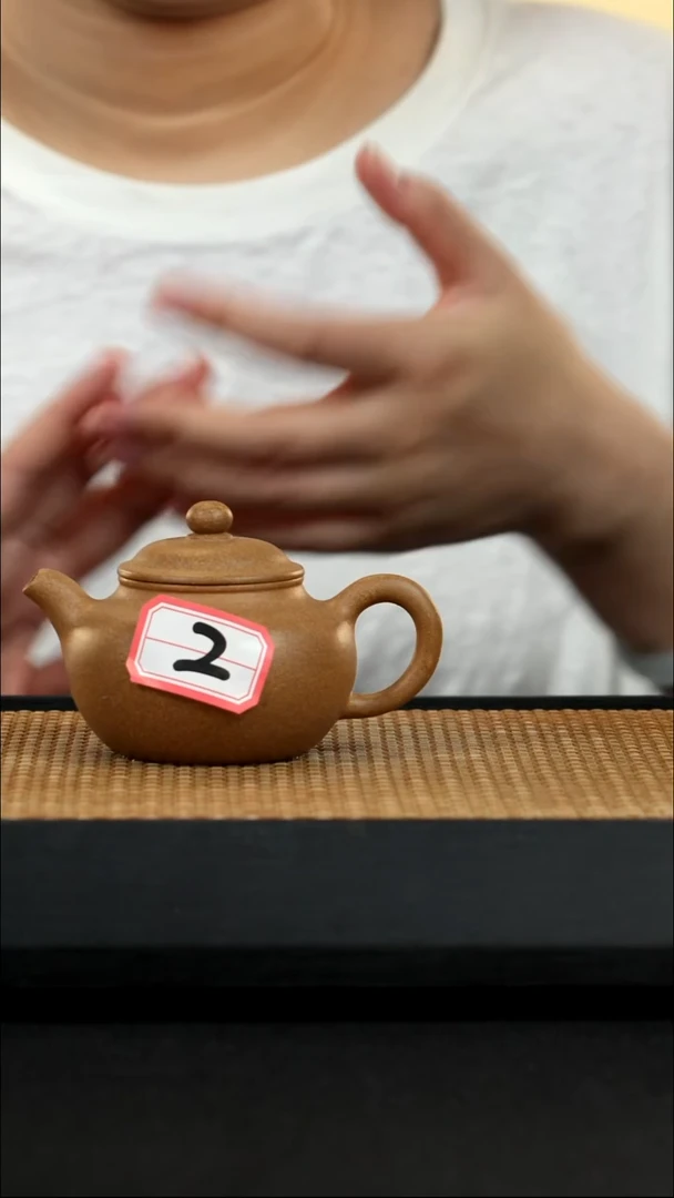 宜兴紫砂壶茶壶2