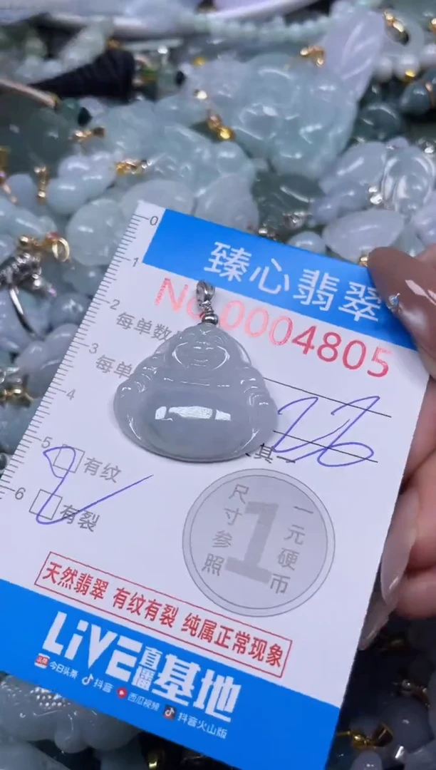 颈饰未镶嵌翡翠4805