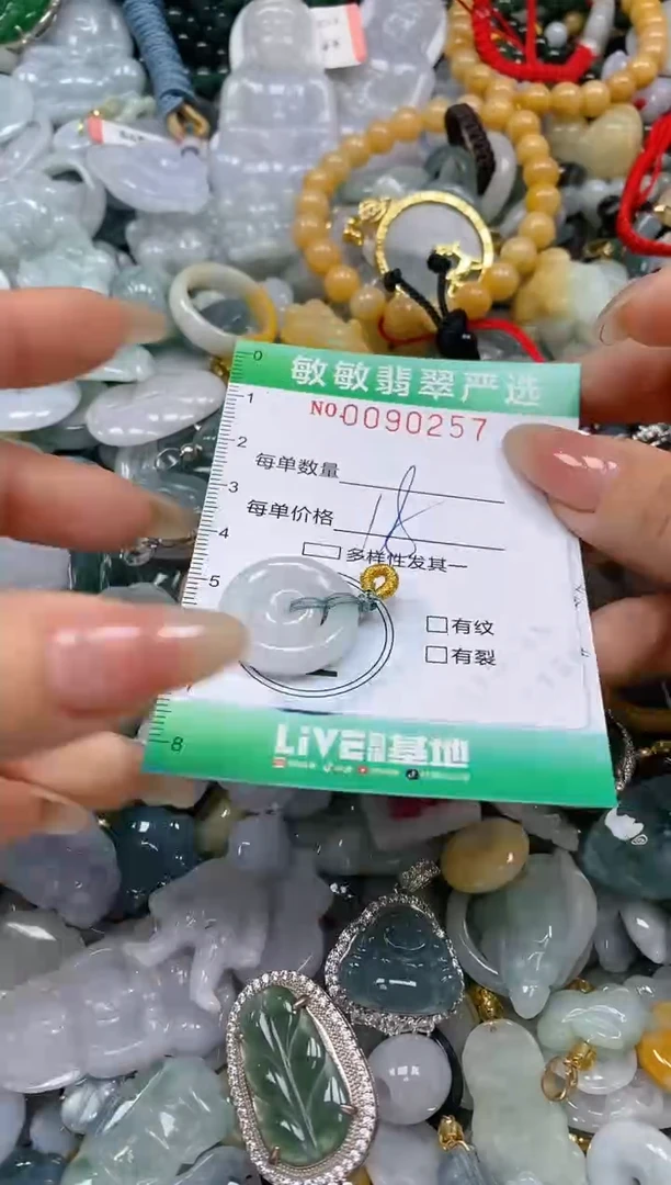 【闪购商品】翡翠颈饰未镶嵌闪购0090257