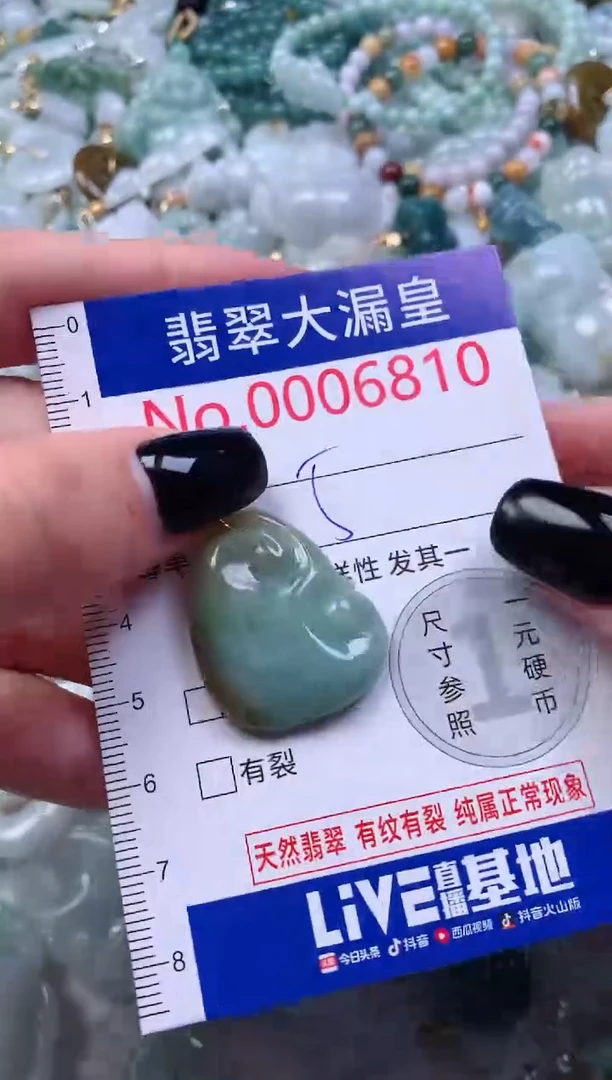 颈饰未镶嵌翡翠6810