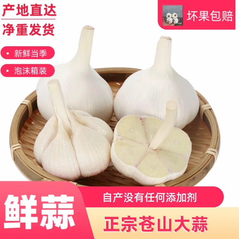 正宗山东苍山四-八瓣白皮鲜蒜湿蒜大蒜头糖醋蒜腊八蒜专用批发价