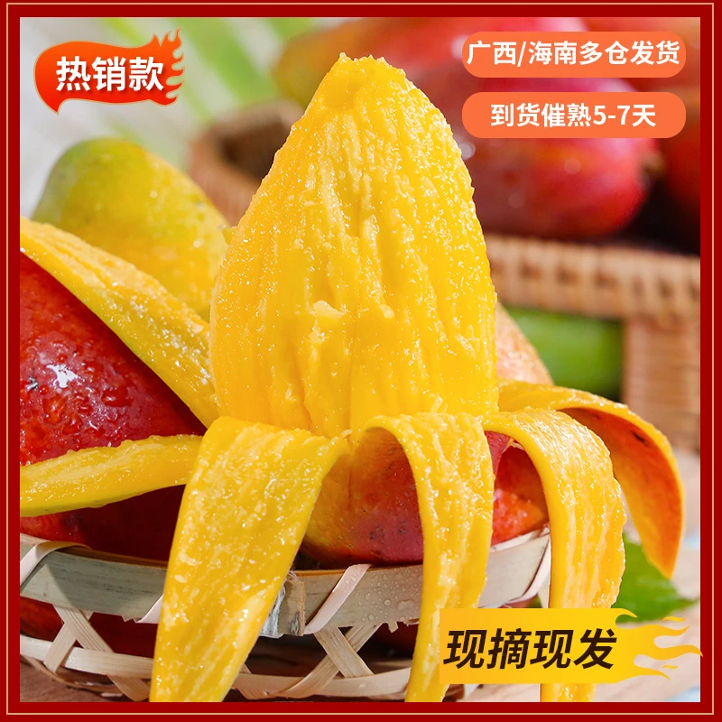 【果天侠】海南头茬小贵妃芒带箱五斤 热带水果 注意：催熟后食用 S