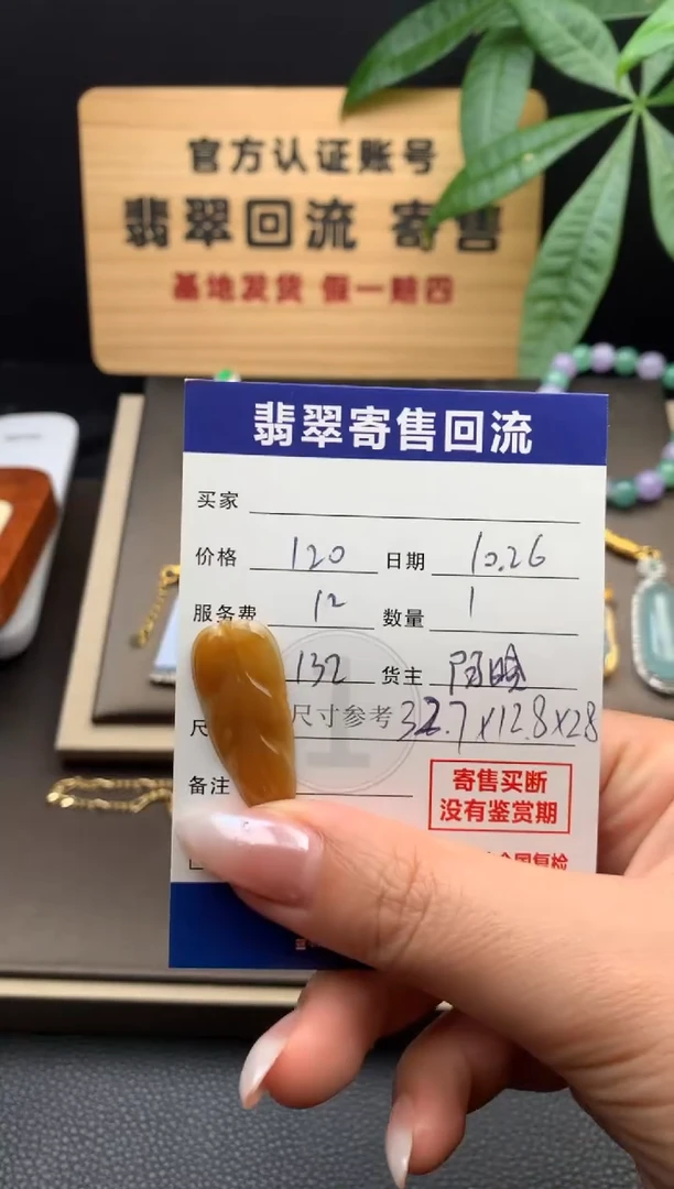 颈饰未镶嵌翡翠21015951