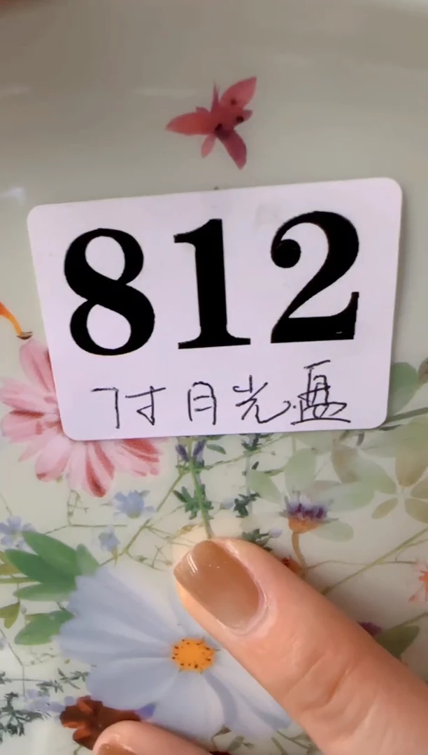 7月光panzici**************