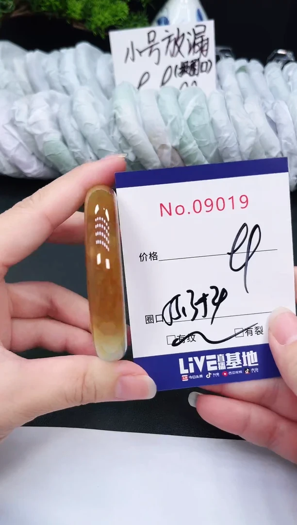未镶嵌手镯翡翠9019