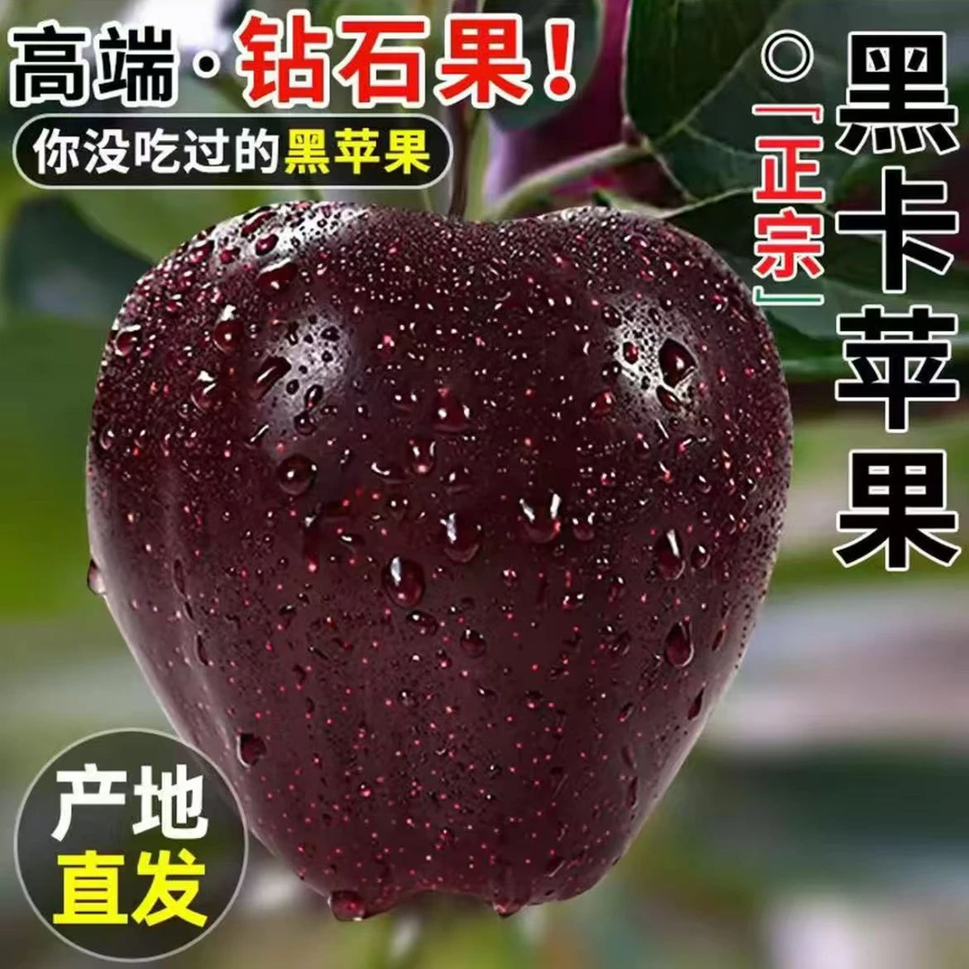 天水高山钻石果正宗黑卡苹果整箱/香甜爆汁