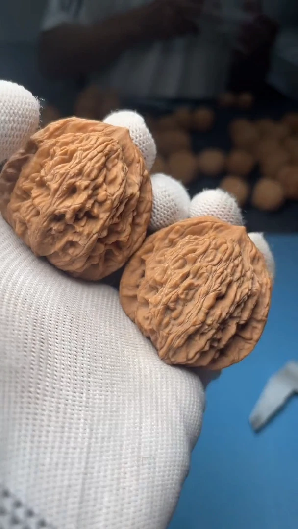 桃核把件a160 麦虎  37尺