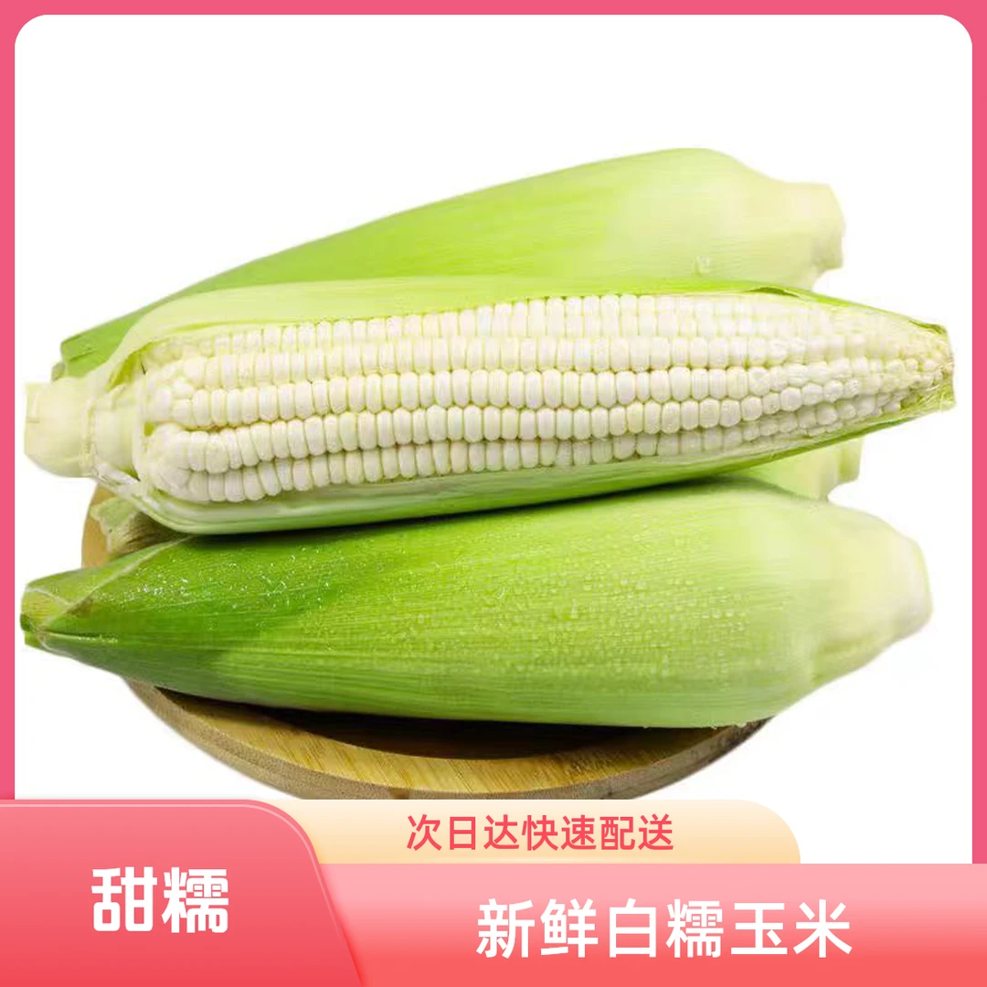 【次日达】16.8元5~6斤宁夏鲜食糯玉米装鲜食白糯玉米新鲜宁夏回族自治区