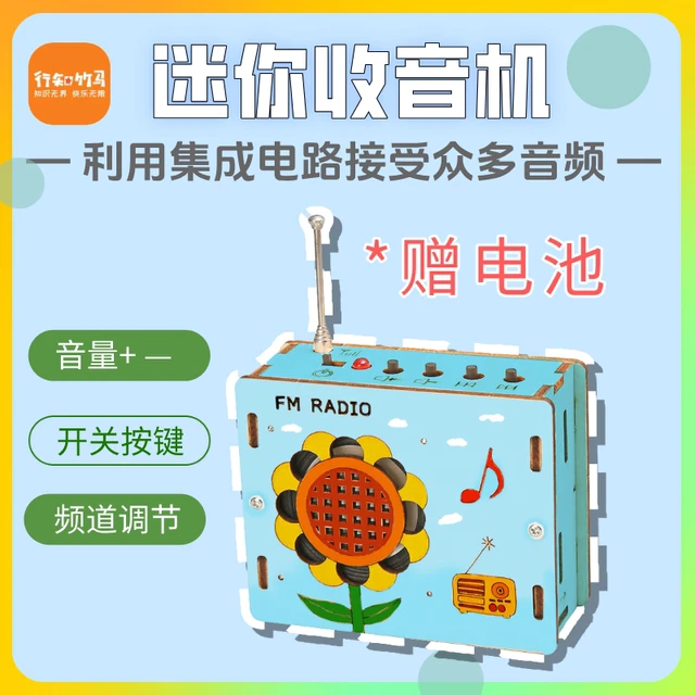科学实验迷你拼装收音机木质儿童培养DIY手工能力小发明家